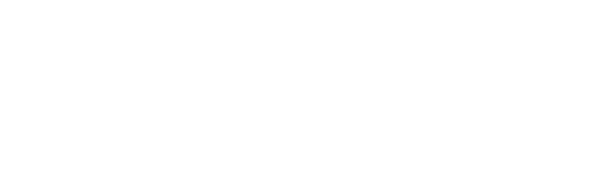 Vrije Universiteit Amsterdam